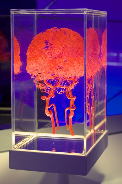 CosmoCaixa Barcelona